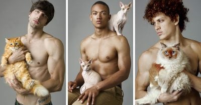 Fotógrafo captura imágenes de modelos posando con gatos. ¡Son la perfección hecha realidad!
