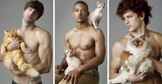 Fotógrafo captura imágenes de modelos posando gatos