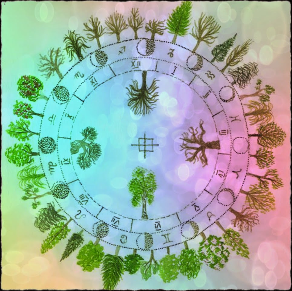Horóscopos Celtas basado en árboles que te protegen