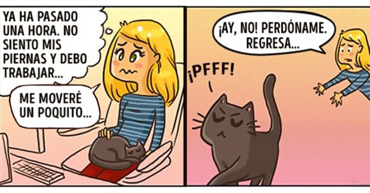 20 Ilustraciones que explican perfectamente cómo es tu vida cuando tienes un gato en casa