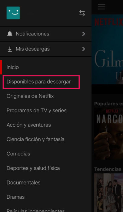 Captura de pantalla del menú de Netflix 