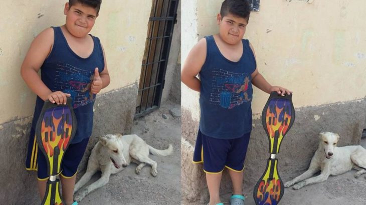 niño con un perro y patineta