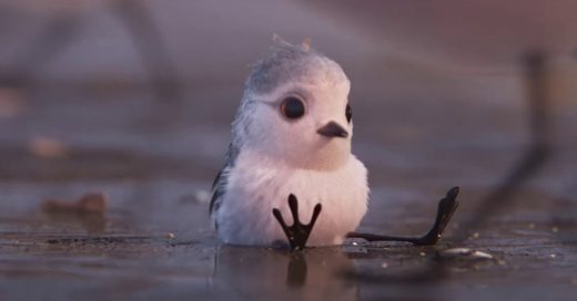 Pixar lo hace de nuevo: esta vez con “Piper”, un ave que nos enseña a enfrentar nuestros miedos