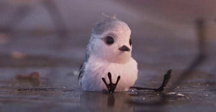 Pixar lo hace de nuevo: esta vez con “Piper”, un ave que nos enseña a enfrentar nuestros miedos