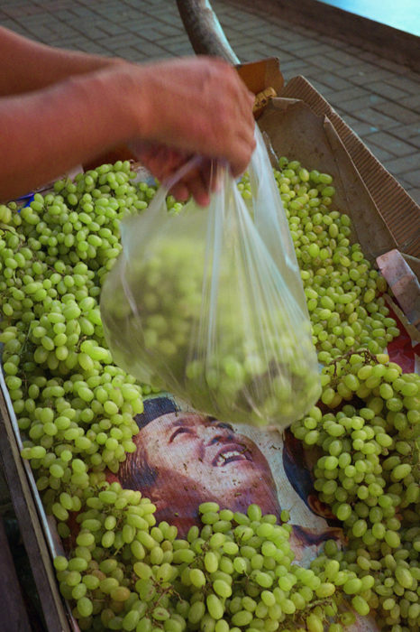 Sin uvas