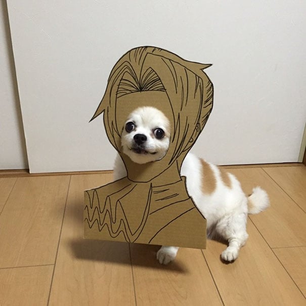 Perro chihuahua con una mascara de cartón en forma de personaje de anime 