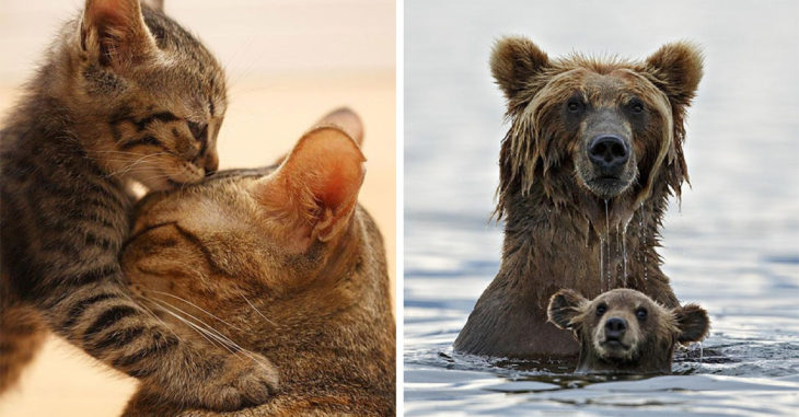 20 fotografías que prueban que como mamá no hay dos