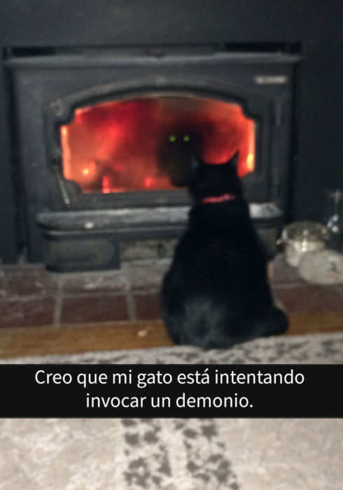 gato chimenea