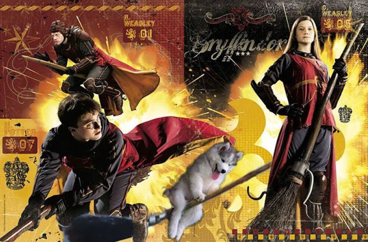 cartel de harry potter y perro sobre escoba 