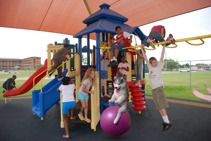 niños jugando en parque y perro 