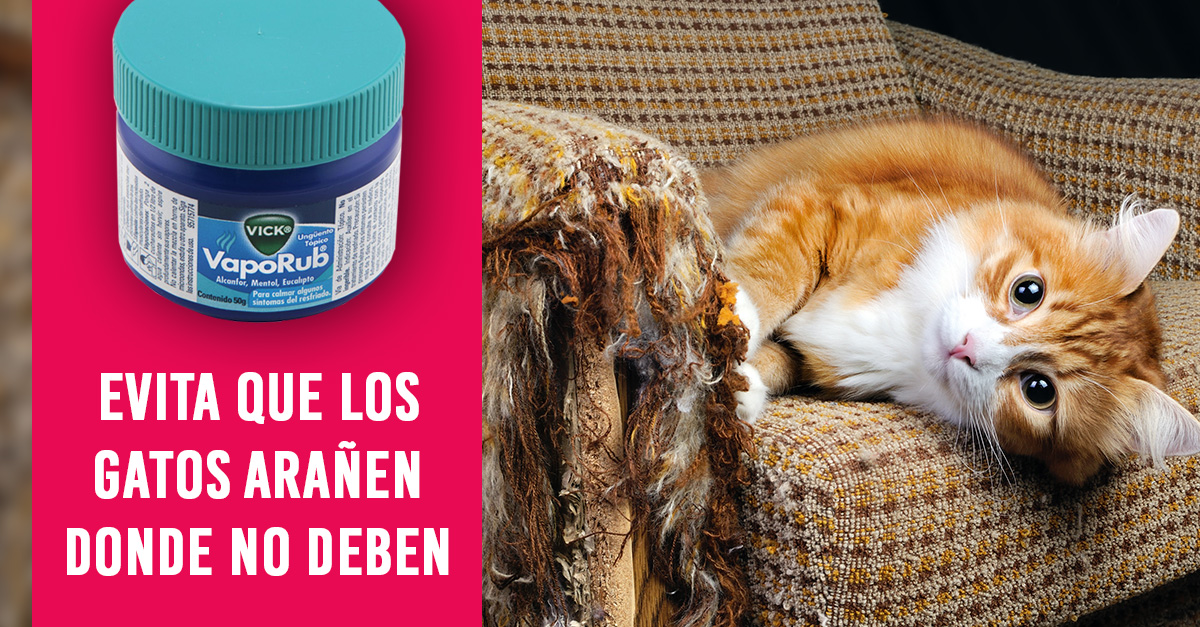 Para que sirve el vick vaporub en las piernas