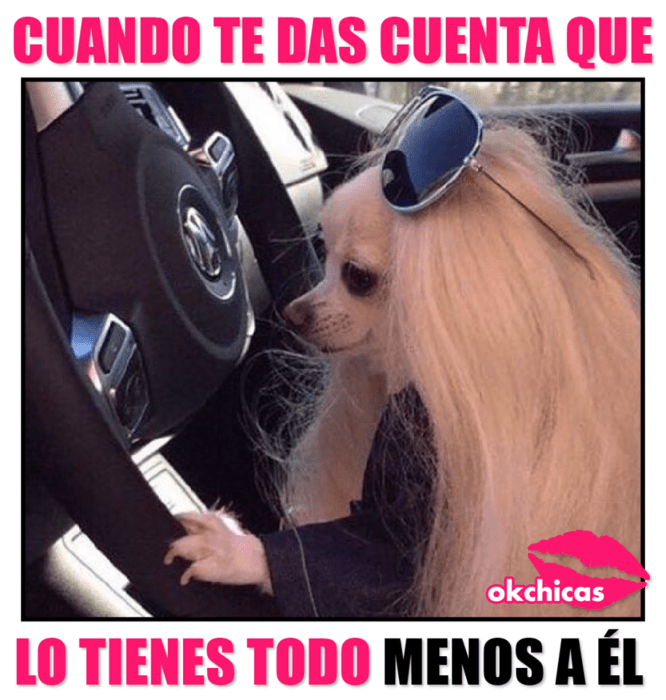 Memes okchicas para chicas sin una relación