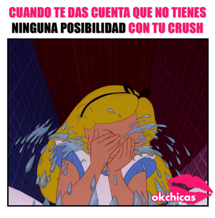 Memes okchicas para chicas sin una relación