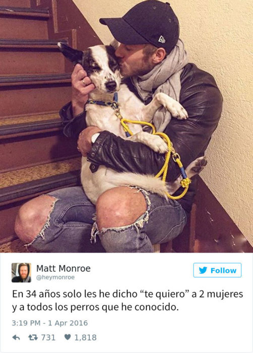 Tuit gracioso sobre perros haciendo travesuras 