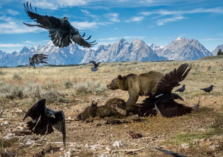 Mejor fotografía de National Geographic 