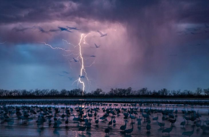 Mejor fotografía de National Geographic 