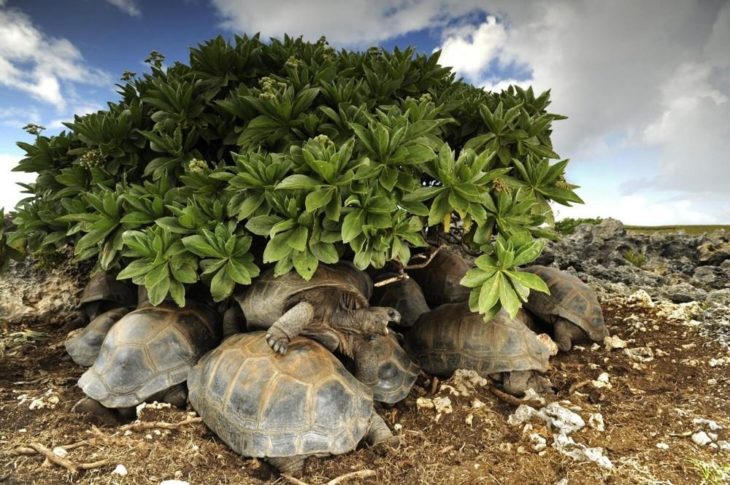 Mejor fotografía de National Geographic 