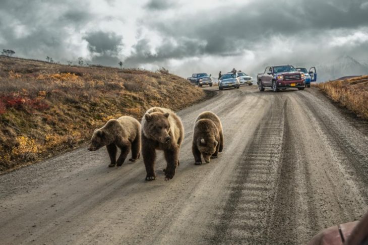 Mejor fotografía de National Geographic 