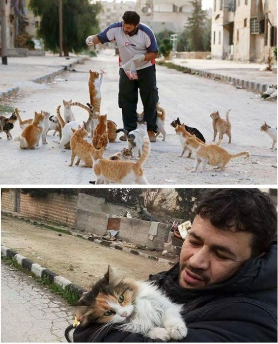 hombre que salva gatos en alepo