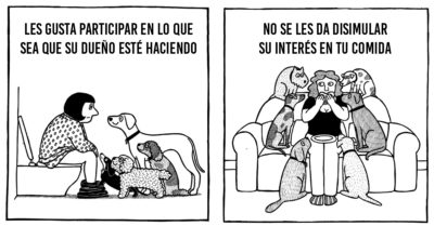 20 momentos que suceden cuando tienes un perro insolente y juguetón en casa