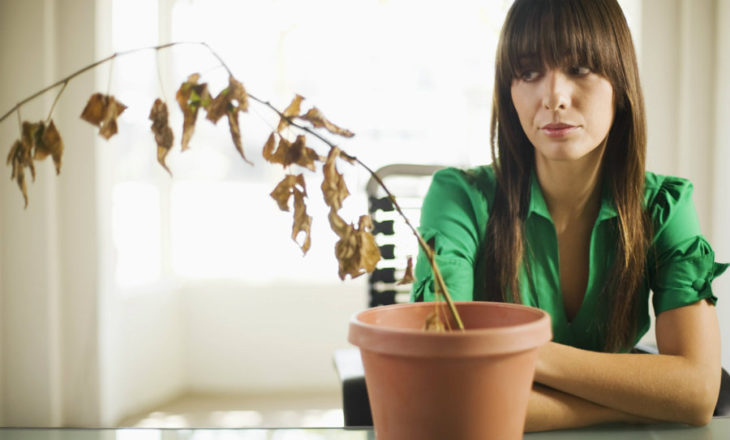 chica viendo su planta marchita