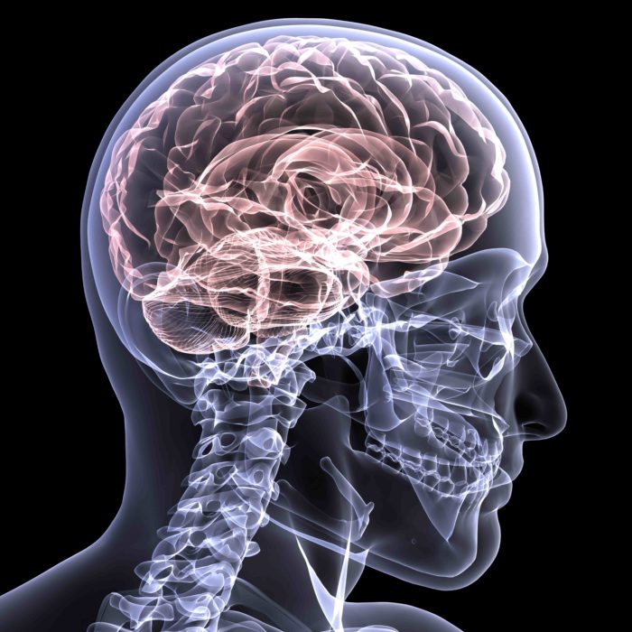cerebro y luces