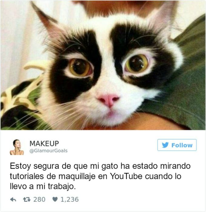 Captura de pantalla Twitter gato con ojos negros