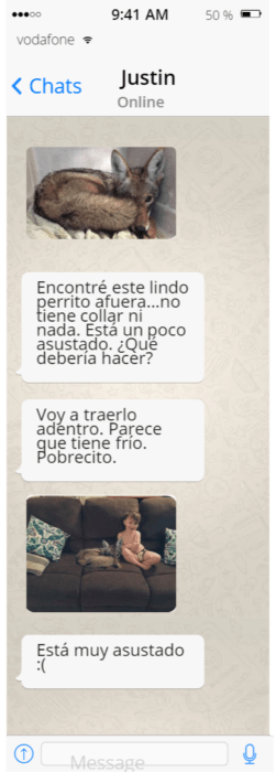 Conversación de whatsapp broma chica a su esposo 