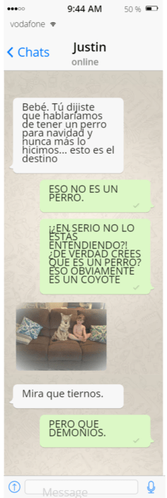 Conversación de whatsapp broma chica a su esposo 