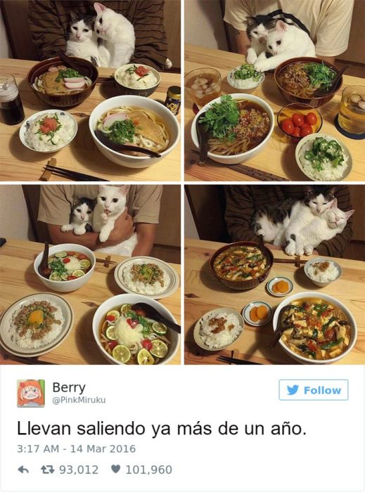 Captura de pantalla Twitter gatos abrazados en una mesa con comida 