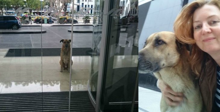 perro afuera de una puerta y mujer rubia 