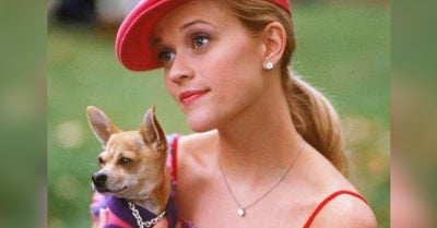 15 frases que jamás debes decirle a alguien que ama los perros