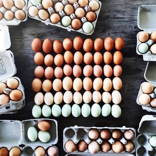 huevos ordenados por color