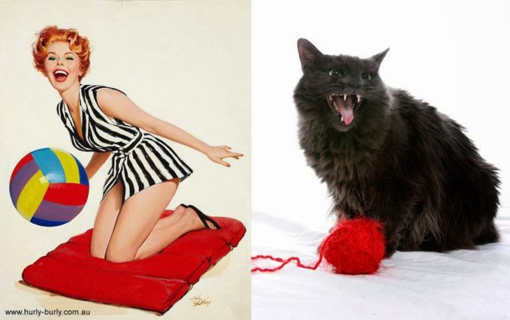 gato como chica pin-up con estambre