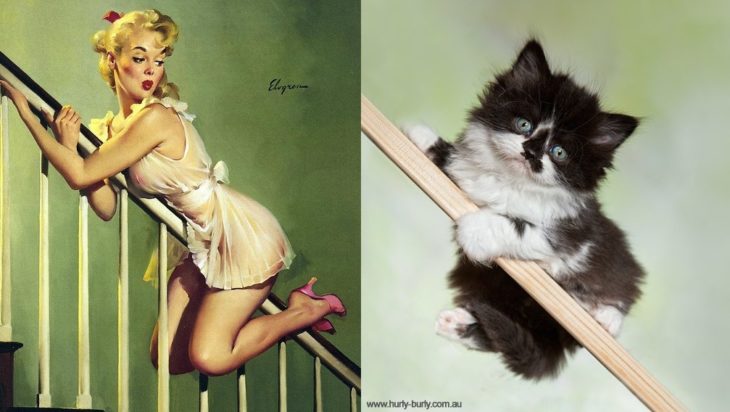 gato como chica pin-up en la escalera