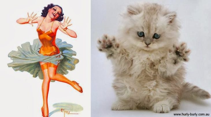 gato como chica pin-up bailando