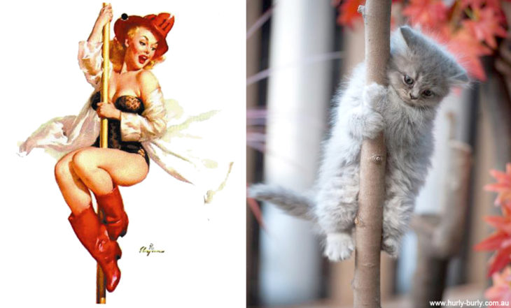 gato como chica pin-up bombero