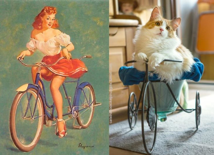 gato como chica pin-up en bicicleta