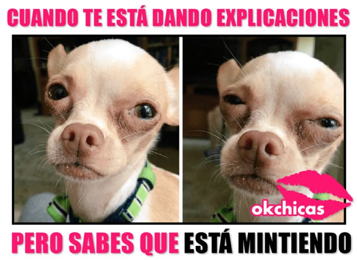 meme okchicas sobre mentiras