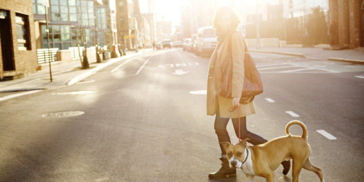 chica paseando a su perro por la calle