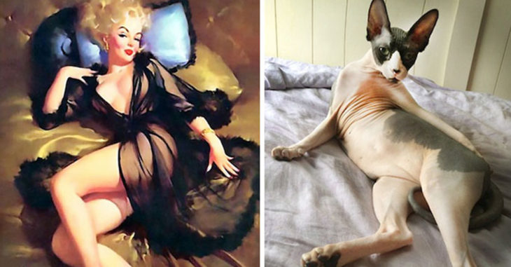 25 divertidos gatos que posaron como chicas Pin-Up