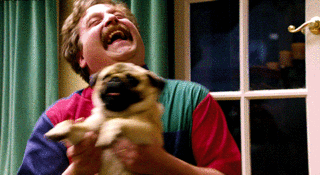 gif señor feliz bailando con su perro