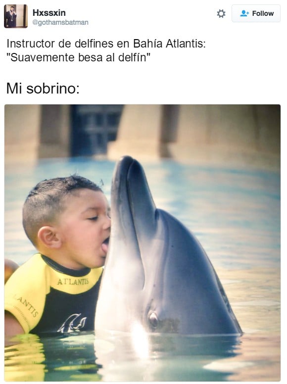 niño besando a un delfín 
