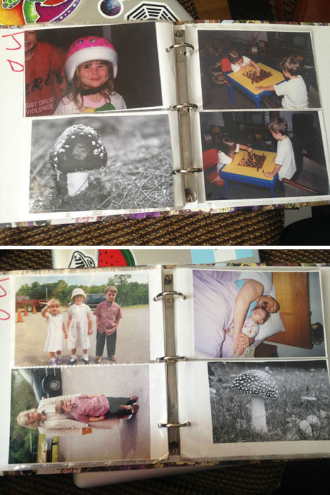 album de fotos con la imagen de un hongo
