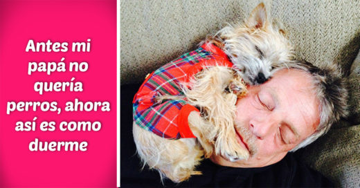 15 Padres que no querían perros, ¡sólo míralos ahora!