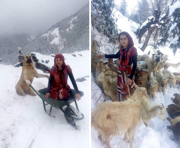 Chica junto a sus cabras y su perro en la nieve 