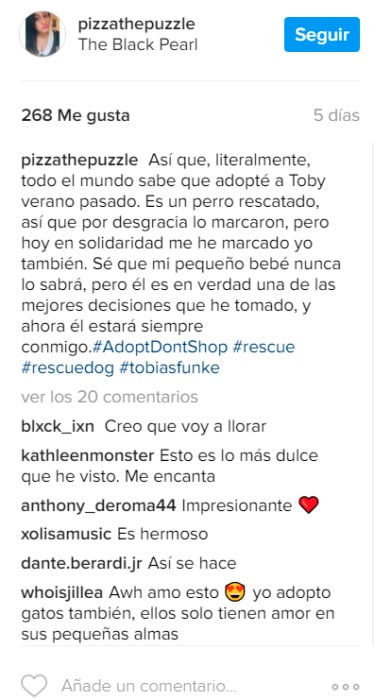 Comentarios en Instagram sobre perro rescatado