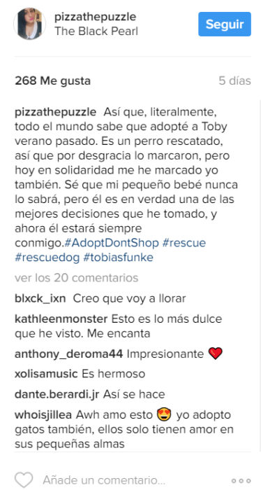 Comentarios en Instagram sobre perro rescatado