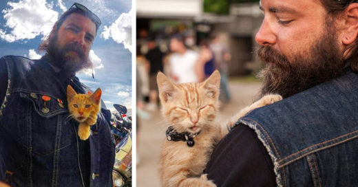 Este motociclista salvó a un gatito de morir y ahora es su compañero de viaje
