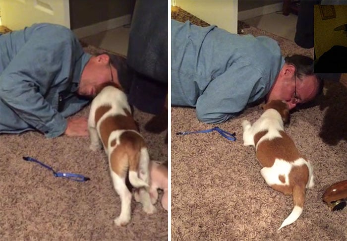 Hombre tirado en la alfombra junto a su perro 